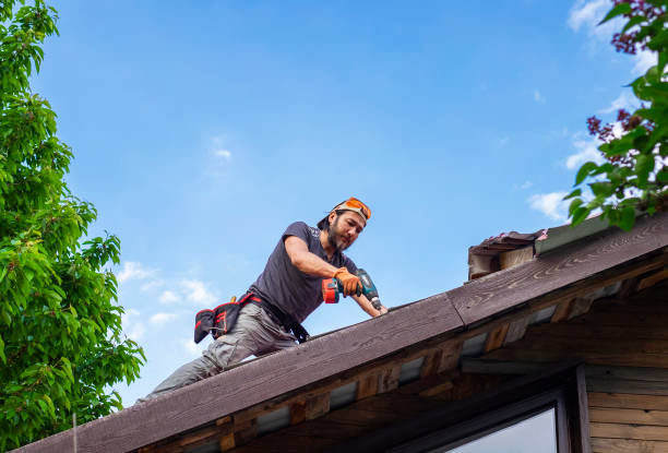 Best Skylight Installation and Repair  in Spooner, WI